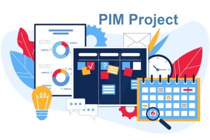 Mastering PIM Project Management